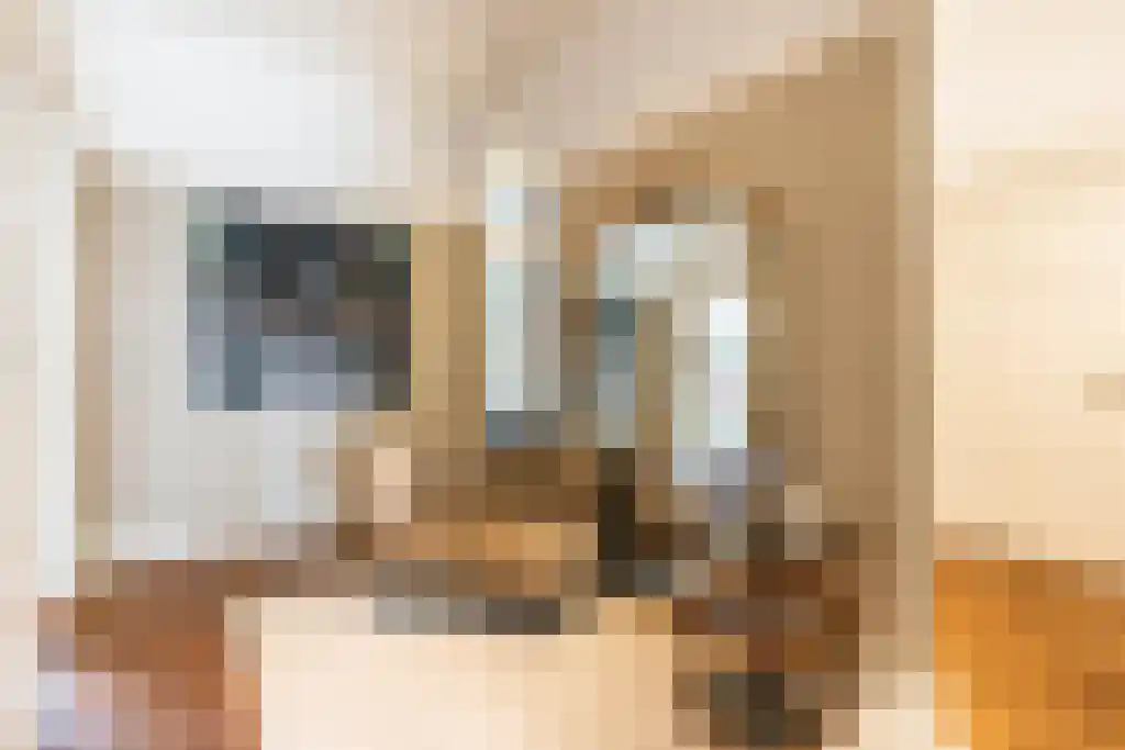 Cliostraat 30 Amsterdam thumbnail 5