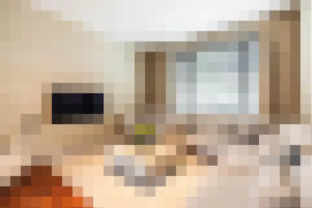 Cliostraat 30 Amsterdam thumbnail 8