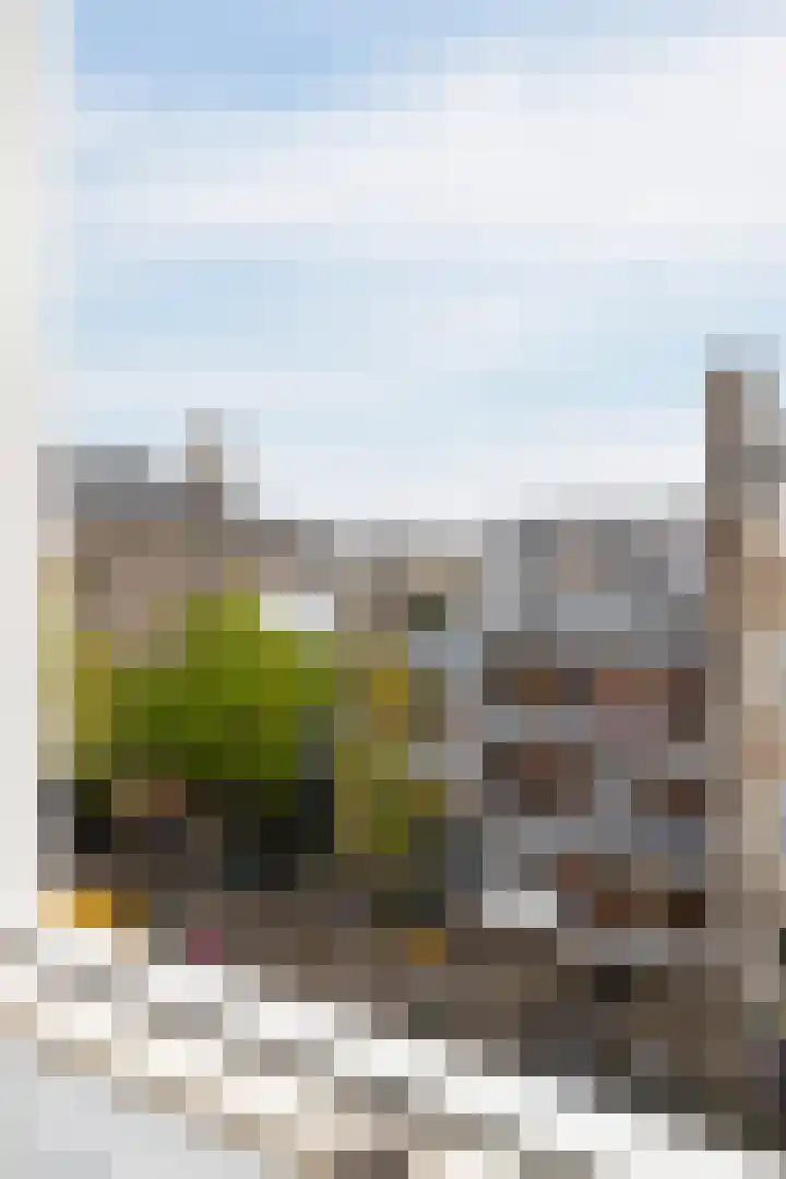 Cliostraat 61 2 Amsterdam thumbnail 17