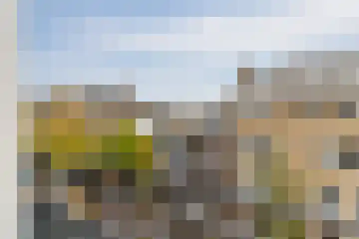 Cliostraat 61 2 Amsterdam thumbnail 8