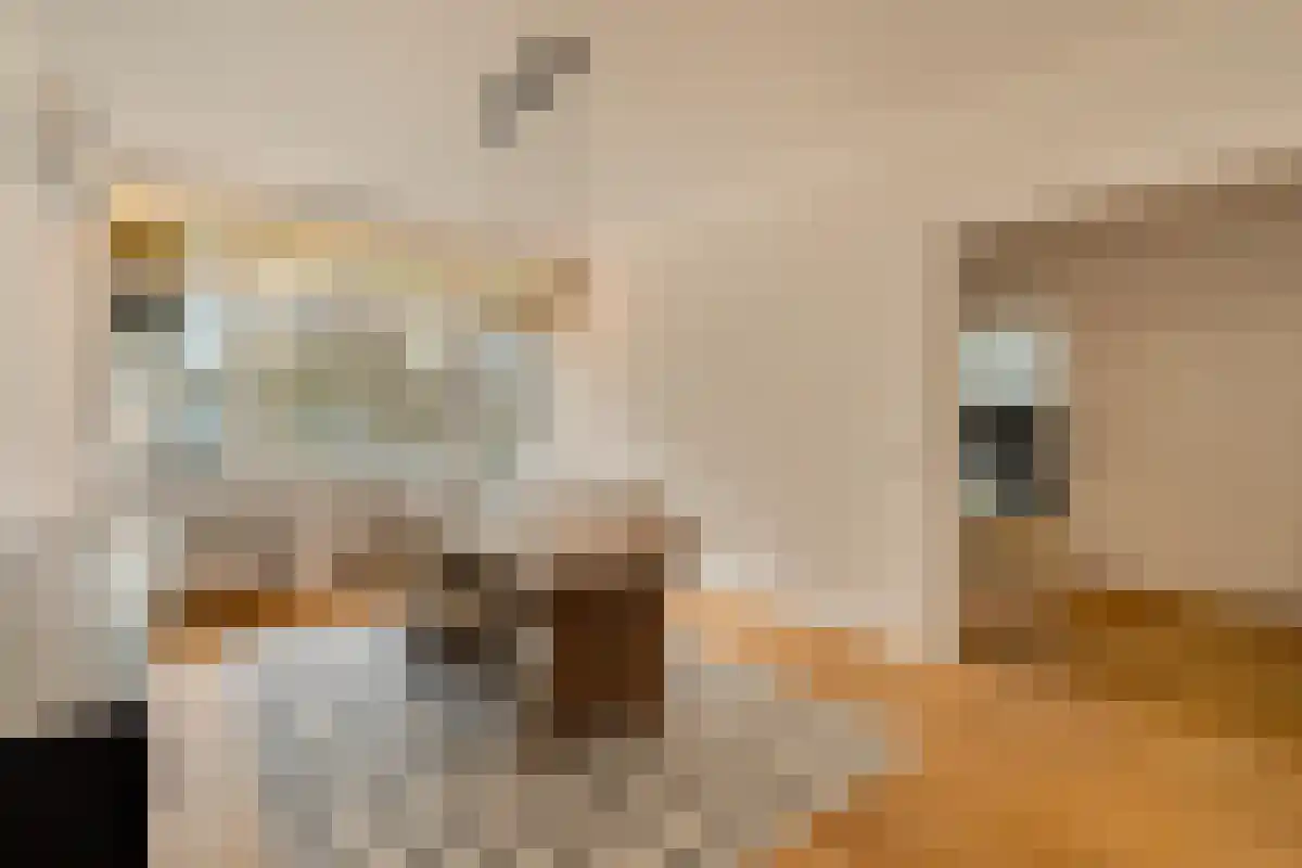 Cliostraat 69 Amsterdam thumbnail 6