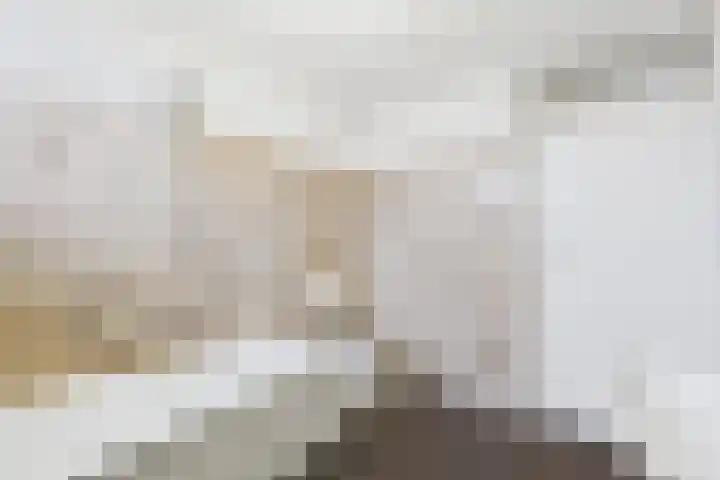 Clivialaan 17 Hoek thumbnail 24