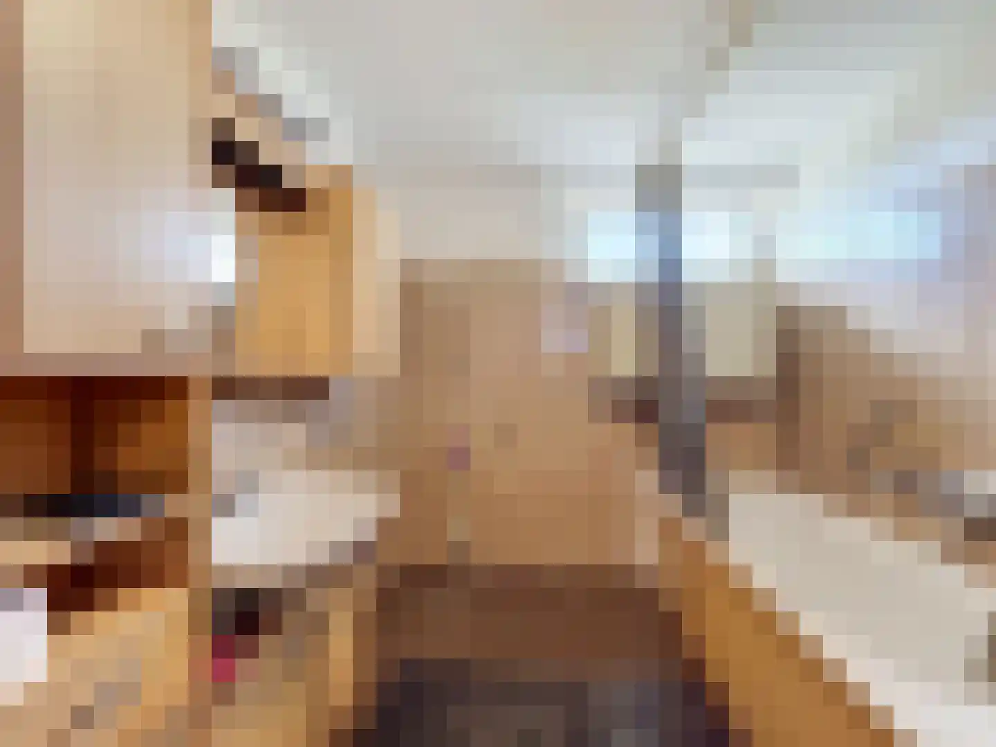 Clivialaan 25 Hoek thumbnail 12