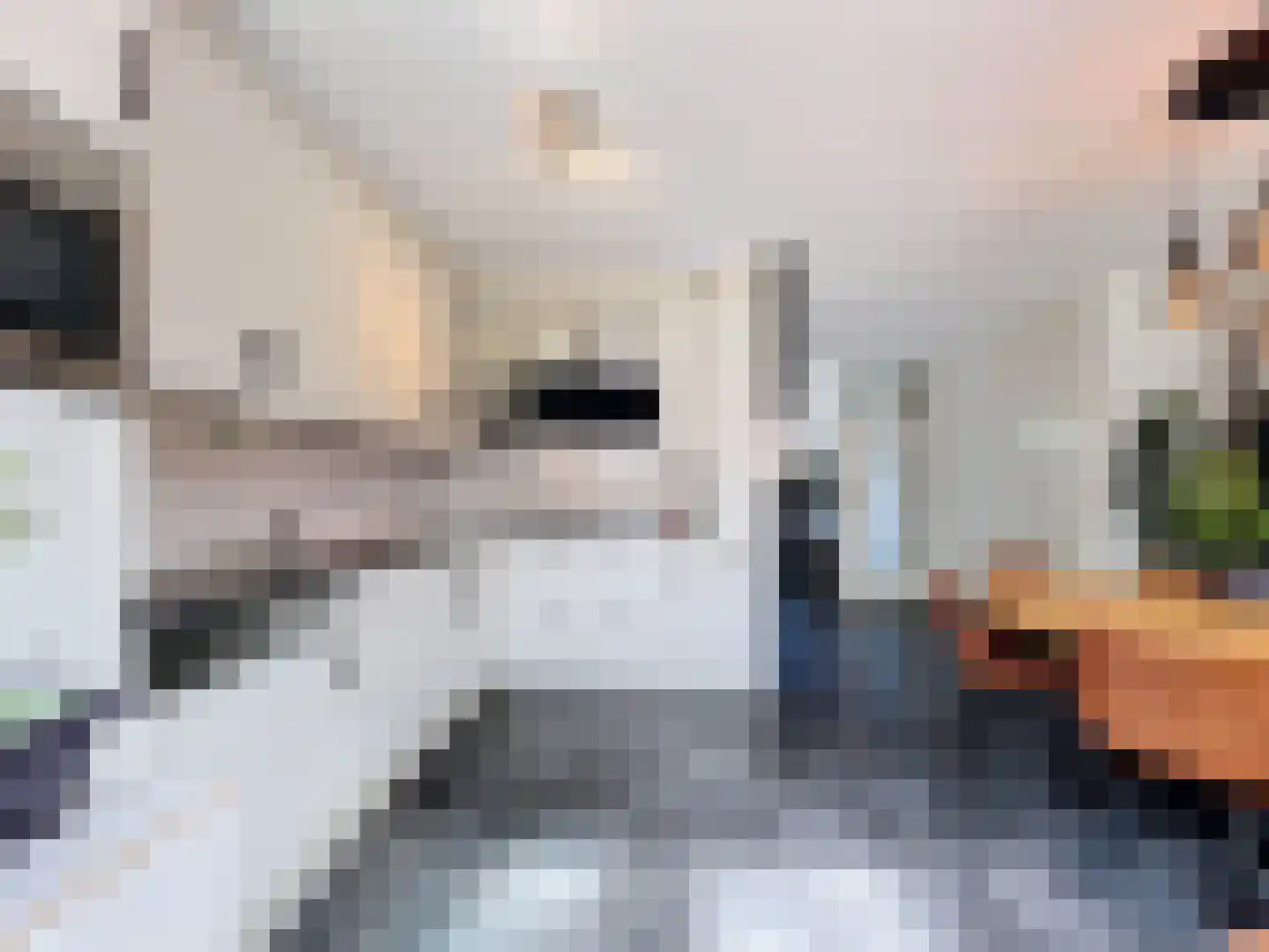 Clivialaan 25 Hoek thumbnail 6