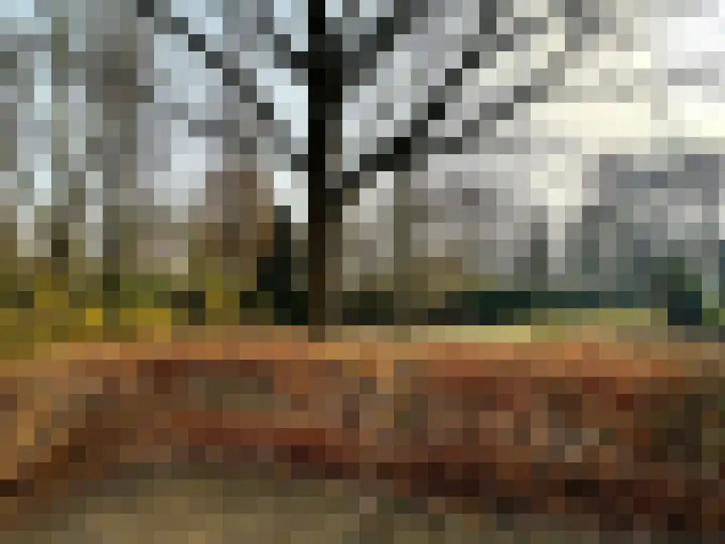 Clivialaan 25 Waalre thumbnail 27