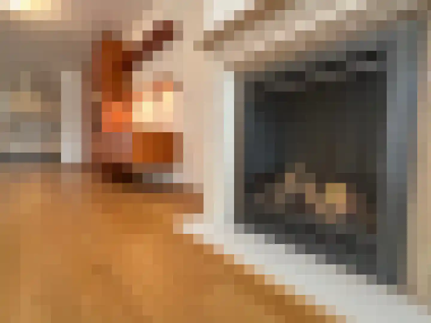 Clivialaan 25 Waalre thumbnail 7