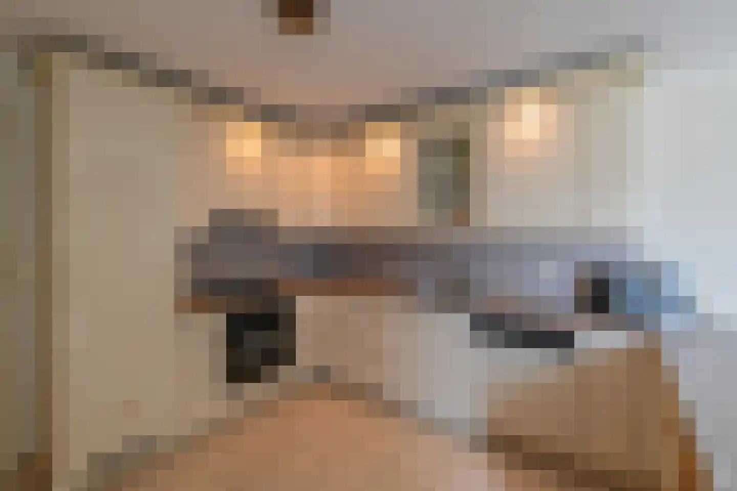 Clivialaan 44 Waalre thumbnail 10