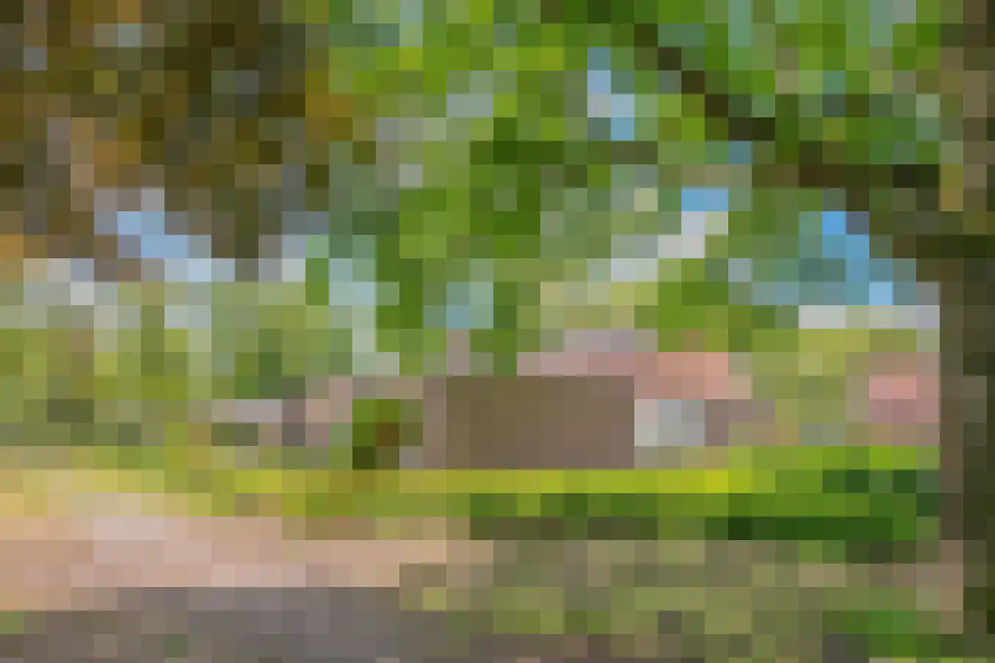 Clivialaan 44 Waalre thumbnail 22
