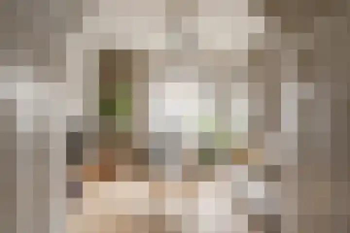 Clivialaan 7 Heemstede thumbnail 15