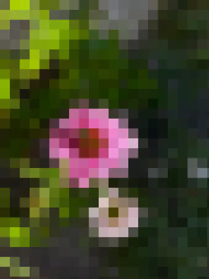 Clivialaan 7 Heemstede thumbnail 22