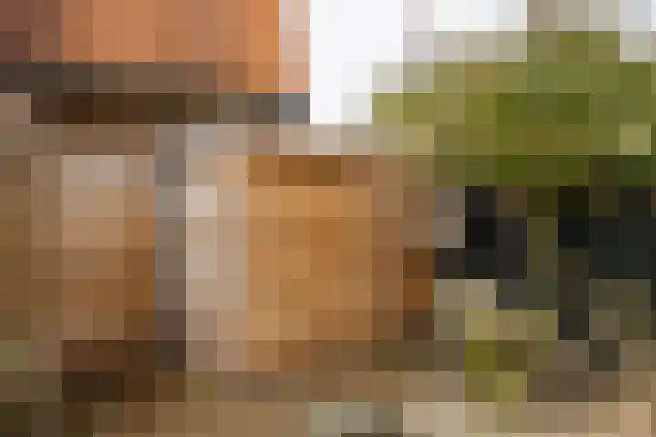 Clivialaan 7 Heemstede thumbnail 27