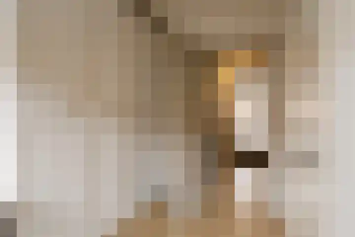 Clivialaan 7 Heemstede thumbnail 39
