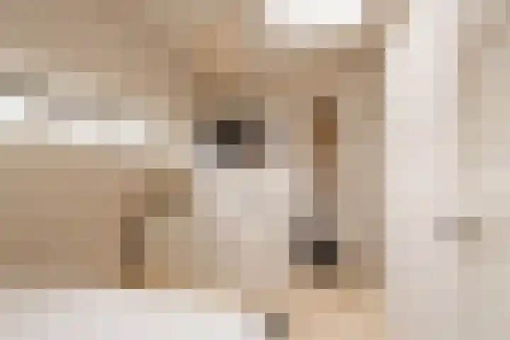 Clivialaan 7 Heemstede thumbnail 47