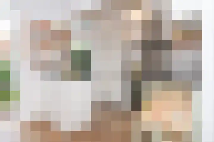 Cliviastraat 1 Zwolle thumbnail 10