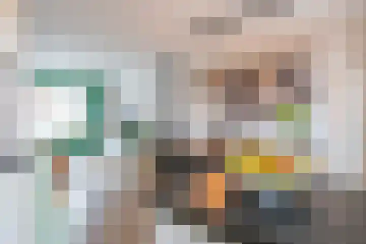 Cliviastraat 1 Zwolle thumbnail 13