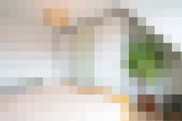 Cliviastraat 1 Zwolle thumbnail 20