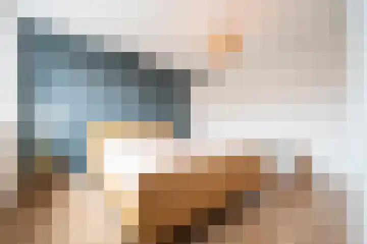 Cliviastraat 1 Zwolle thumbnail 21