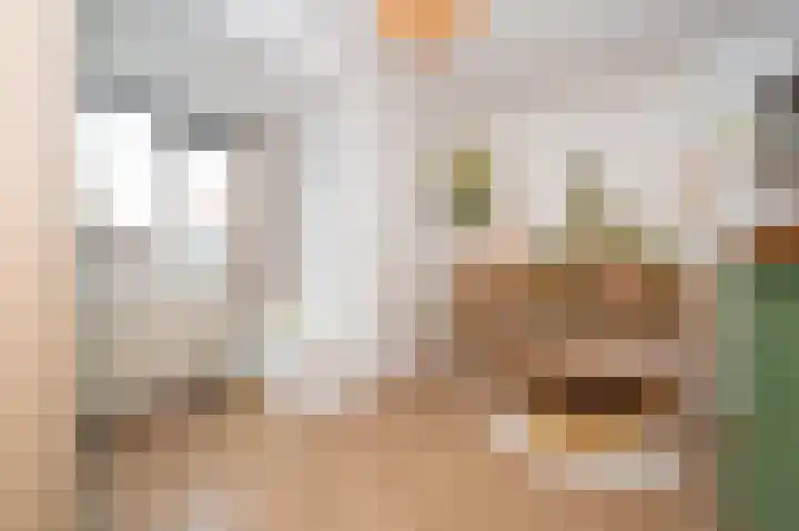Cliviastraat 1 Zwolle thumbnail 22