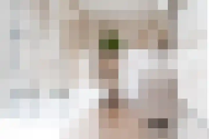 Cliviastraat 1 Zwolle thumbnail 28