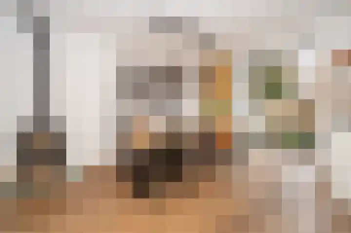 Cliviastraat 1 Zwolle thumbnail 5