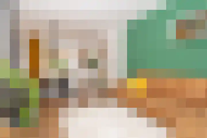 Cliviastraat 1 Zwolle thumbnail 6