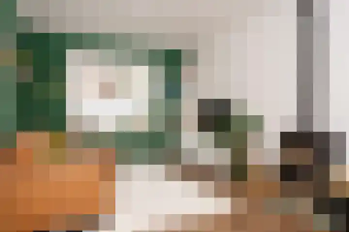 Cliviastraat 1 Zwolle thumbnail 7