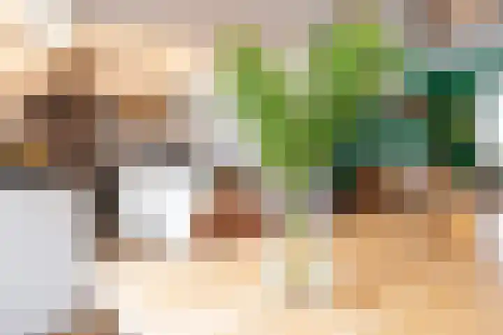 Cliviastraat 1 Zwolle thumbnail 9
