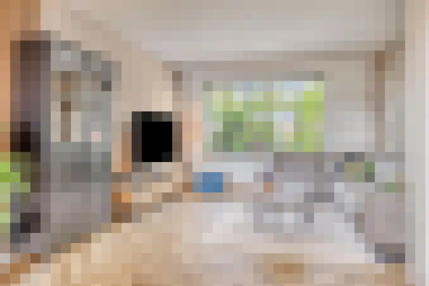 Cliviastraat 28 Denekamp thumbnail 11