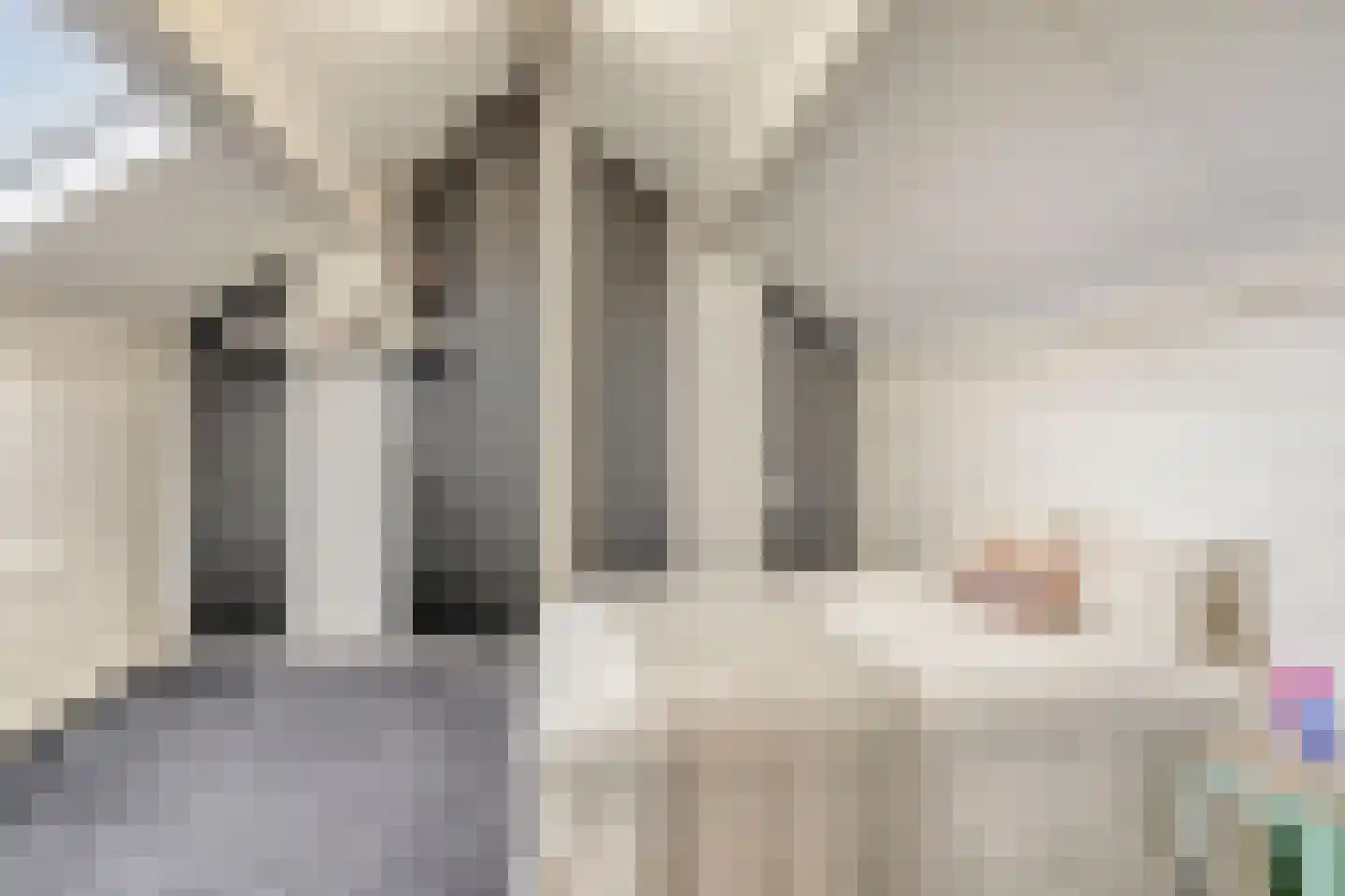 Cliviastraat 28 Denekamp thumbnail 28
