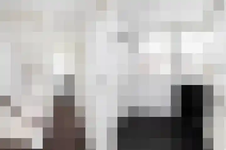 Cliviastraat 30 Zwolle thumbnail 12