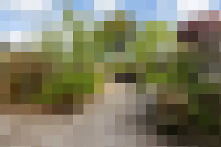 Cliviastraat 30 Zwolle thumbnail 19