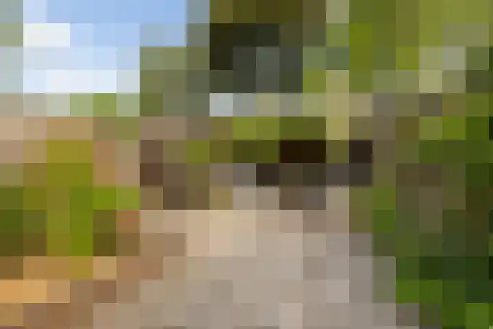 Cliviastraat 30 Zwolle thumbnail 20