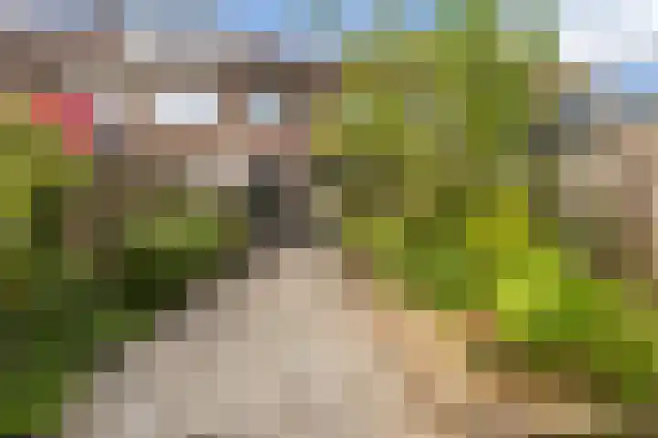 Cliviastraat 30 Zwolle thumbnail 21