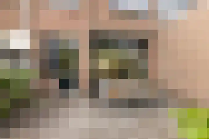 Cliviastraat 30 Zwolle thumbnail 22