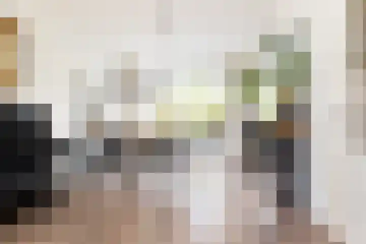 Cliviastraat 30 Zwolle thumbnail 7