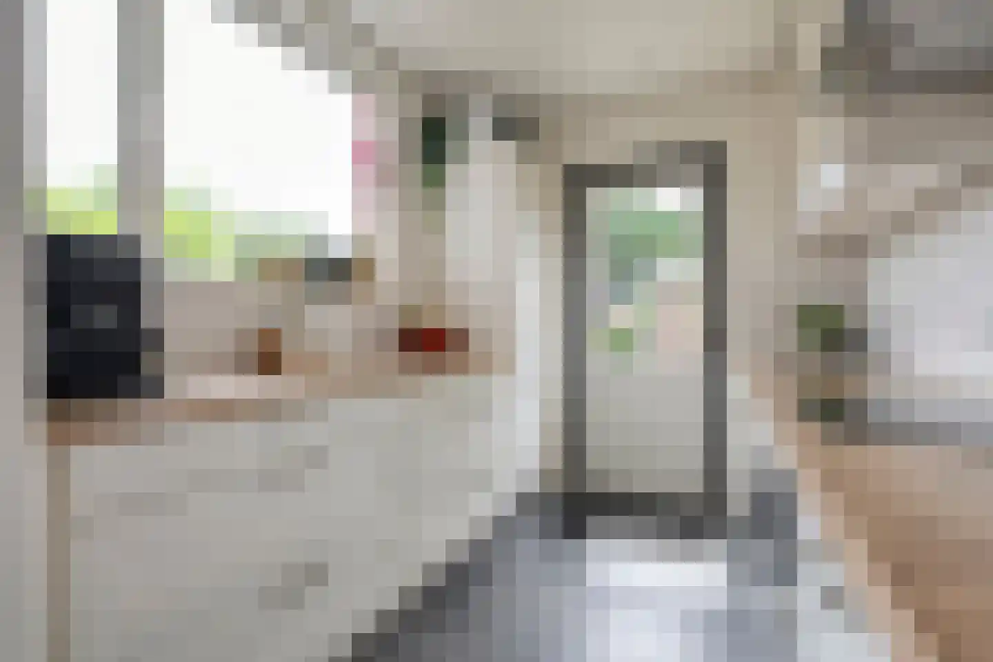 Cliviastraat 31 Zwolle thumbnail 17