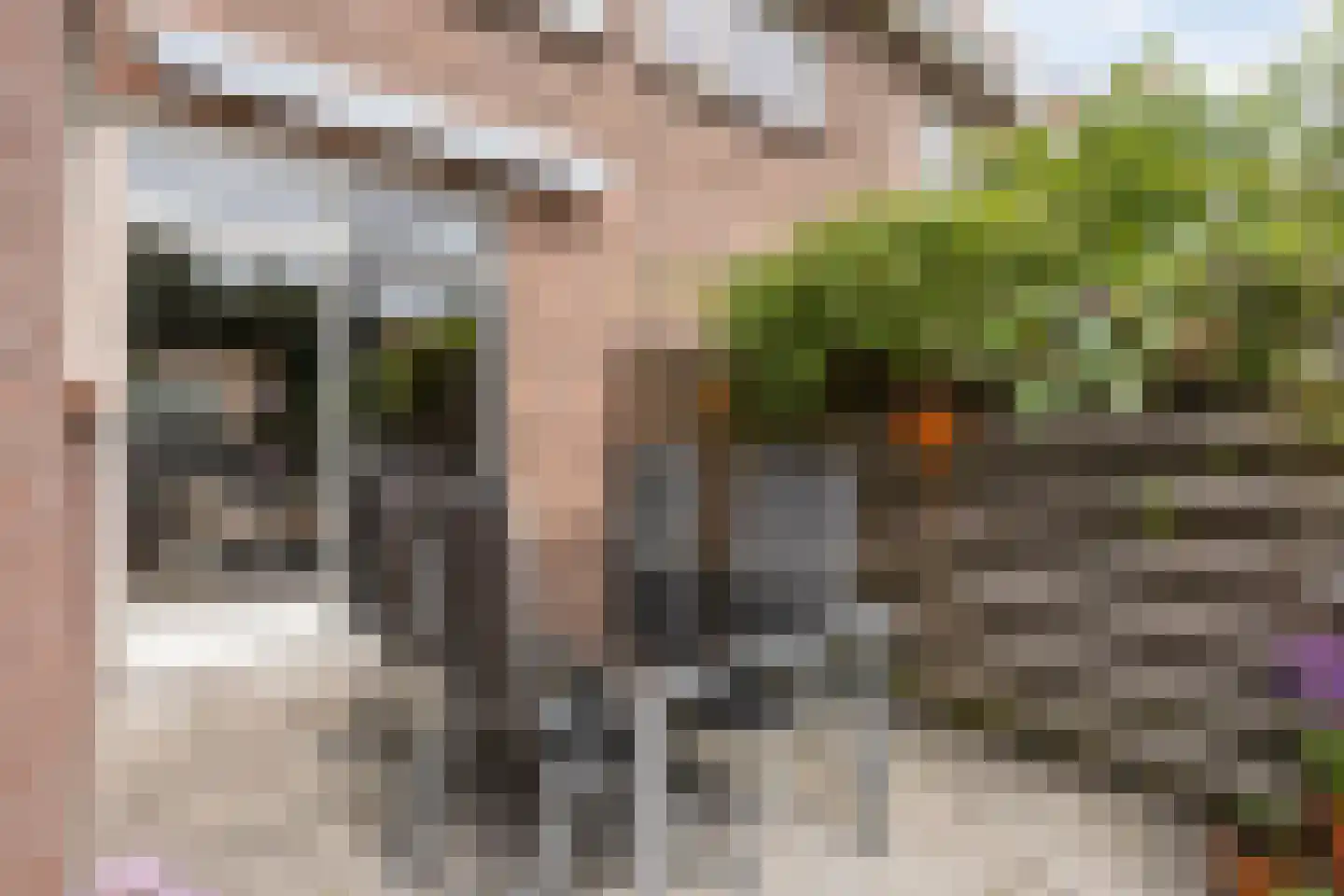 Cliviastraat 31 Zwolle thumbnail 39