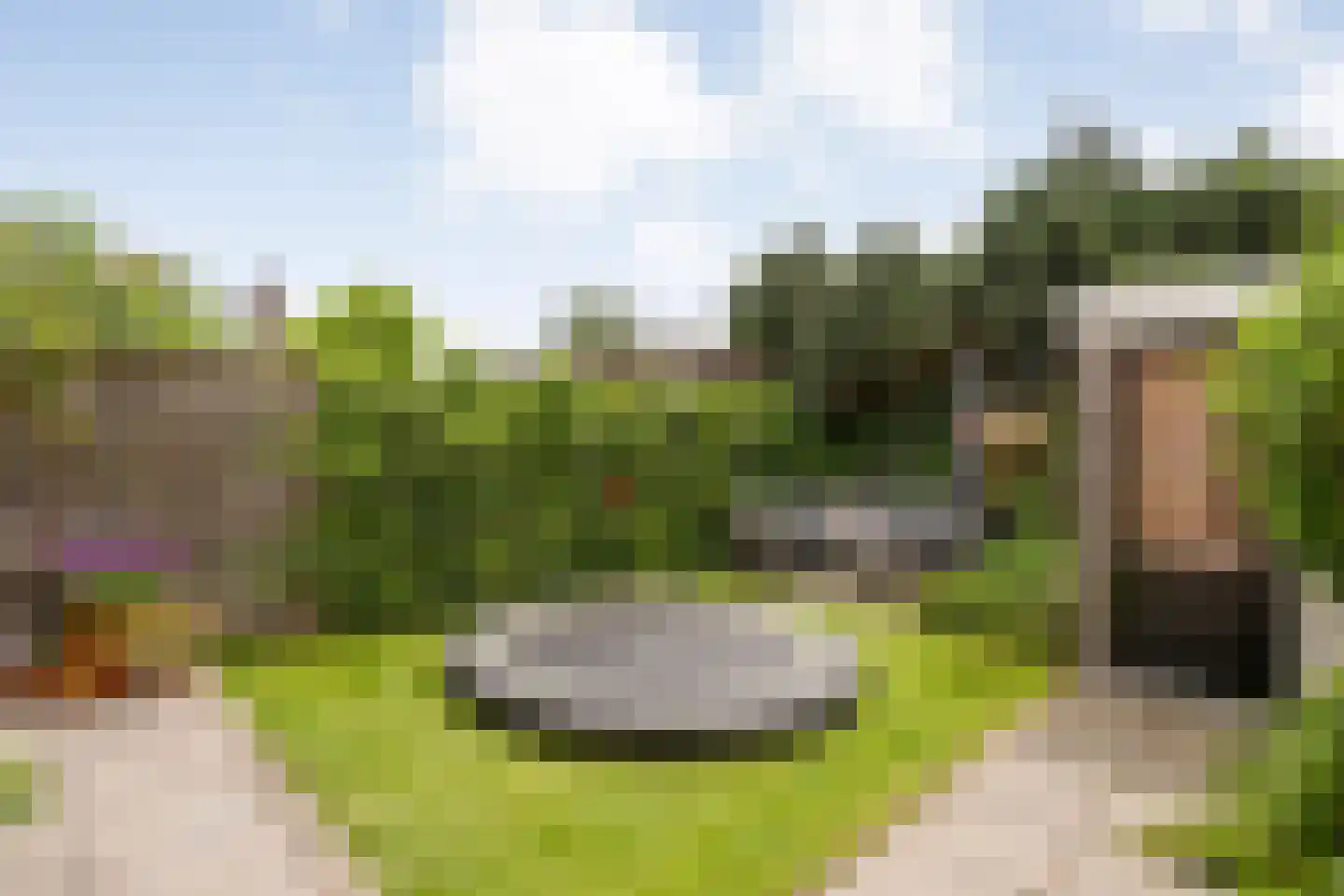 Cliviastraat 31 Zwolle thumbnail 41