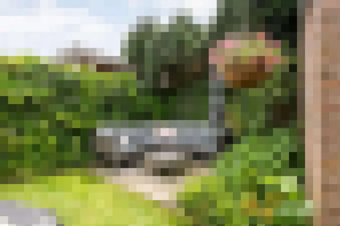 Cliviastraat 31 Zwolle thumbnail 44