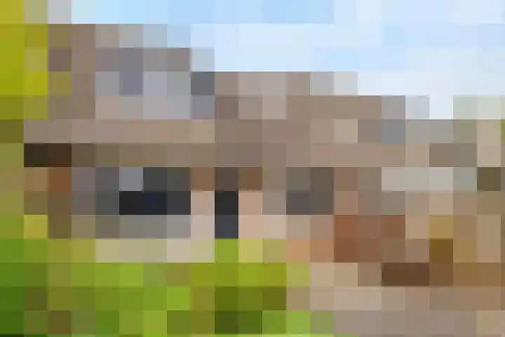 Cliviastraat 5 Almere thumbnail 28