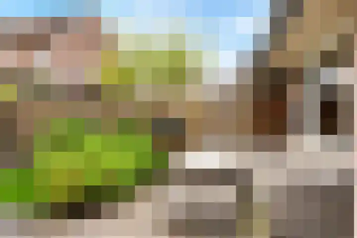 Cliviastraat 5 Almere thumbnail 29