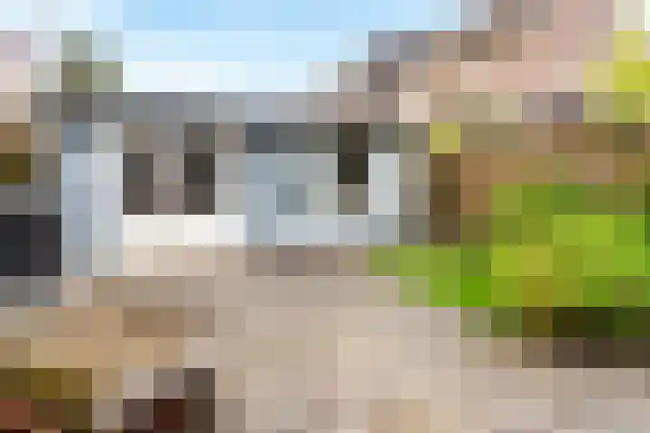 Cliviastraat 5 Almere thumbnail 30