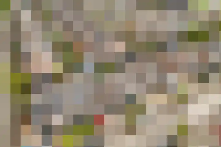 Cliviastraat 5 Almere thumbnail 31
