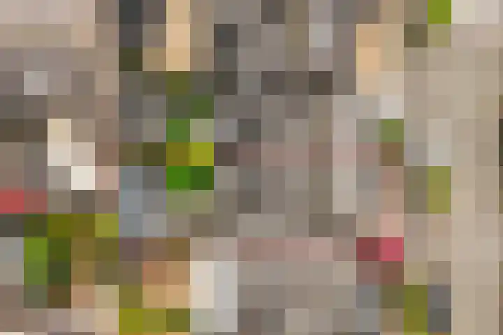 Cliviastraat 5 Almere thumbnail 33