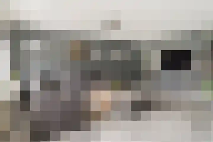 Cliviastraat 5 Almere thumbnail 7