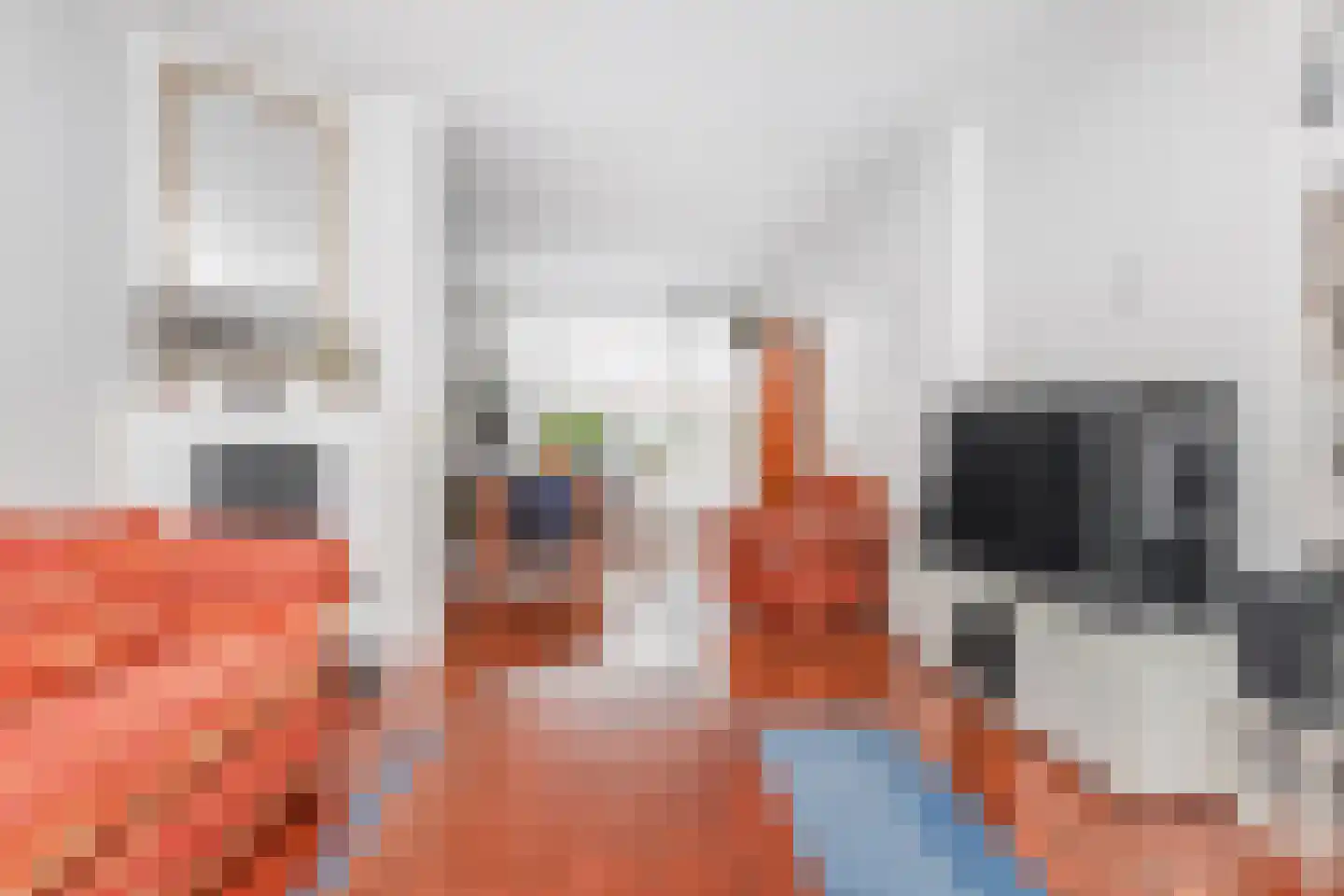 Cliviastraat 6 A Den Haag thumbnail 11