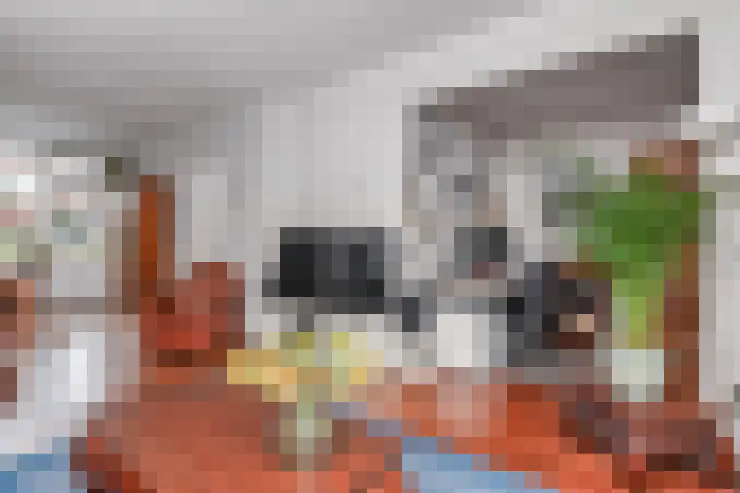 Cliviastraat 6 A Den Haag thumbnail 17