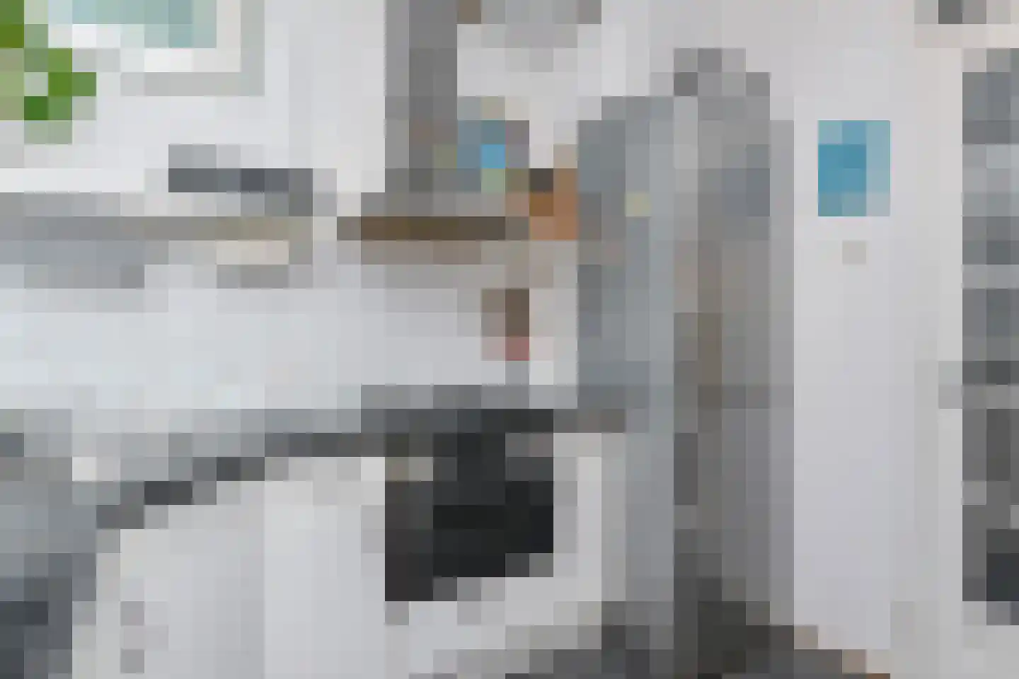 Cliviastraat 6 A Den Haag thumbnail 22