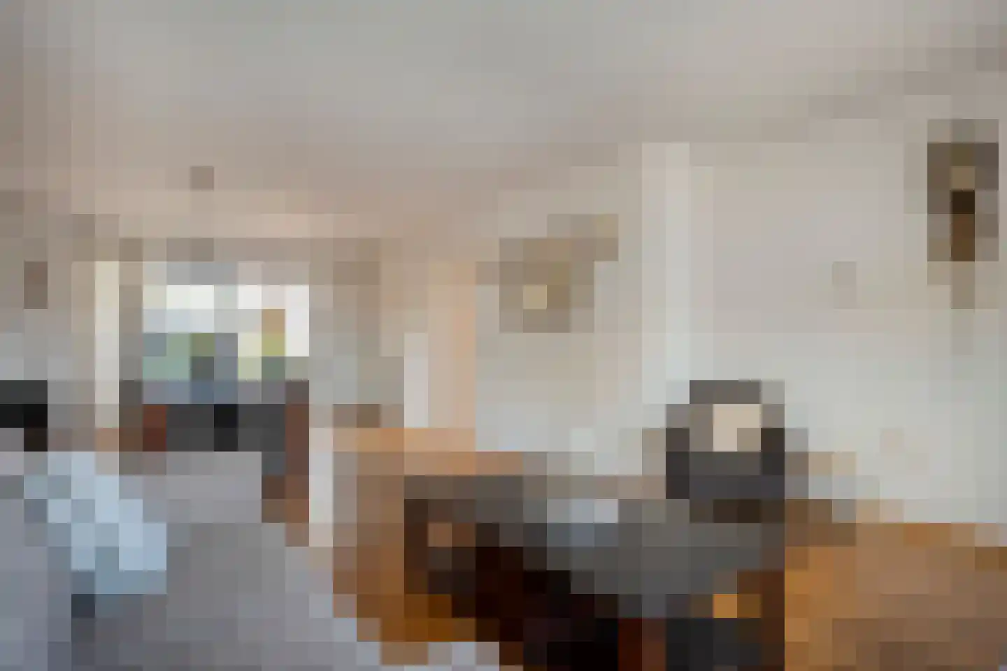 Cliviastraat 6 Denekamp thumbnail 11