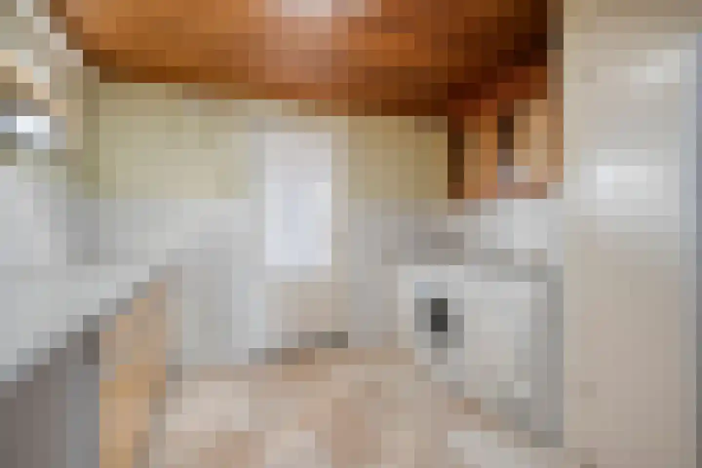 Cliviastraat 6 Denekamp thumbnail 14